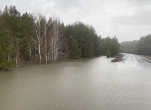 Паводок приближается к Кургану, вода уже в десяти километрах от города