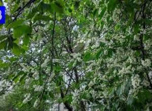 Утро России: отправляемся в путешествие на велосипеде до Териберки