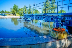 Жители Звенигорода страдают от запахов с разрушенных очистных сооружений