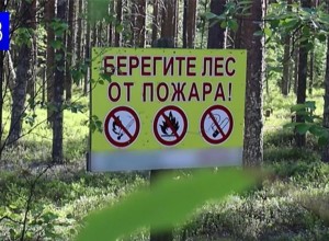 Чрезвычайный класс пожарной опасности сохраняется в трех округах Мурманской области