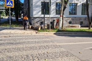 Вырубка