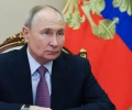 Путин помиловал четырех условно осужденных жительниц Курской области