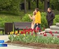 Новые дорожные знаки и места для фотосессий появились в Мурманске