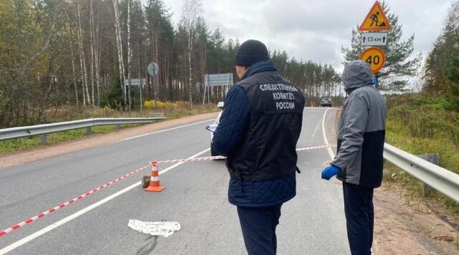 В Ленинградской области в реке нашли расчлененное тело