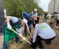 Неравнодушные горожане вновь вышли на субботники в Кандалакше