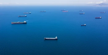 Путину доложат о мерах против нарушений морского права недружественными странами