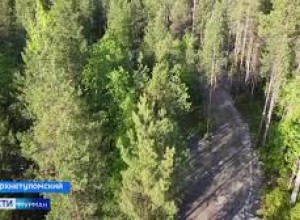 В Верхнетуломском соседи перегородили единственный проезд к дому