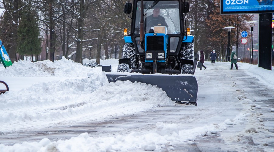 Одинцовские волонтеры стали лауреатами губернаторской премии «Мы рядом. Доброе дело»