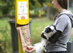 Кинолог Голубев заявил, что собачьи фекалии не удобряют почву и вредят растениям