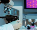Новосибирские ученые создают систему для диагностики и разрушения раковых клеток