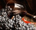 Экспорт вина РФ в 2025 году вырос на 19%