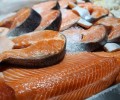 Около 57,1 тысячи тонн рыбной продукции отправили из Мурманской области на экспорт за первое полугодие 2025-го