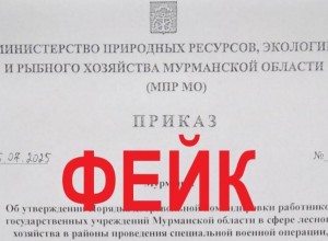 Оперштаб: приказ о мобилизации лесников Мурманской области – фейк