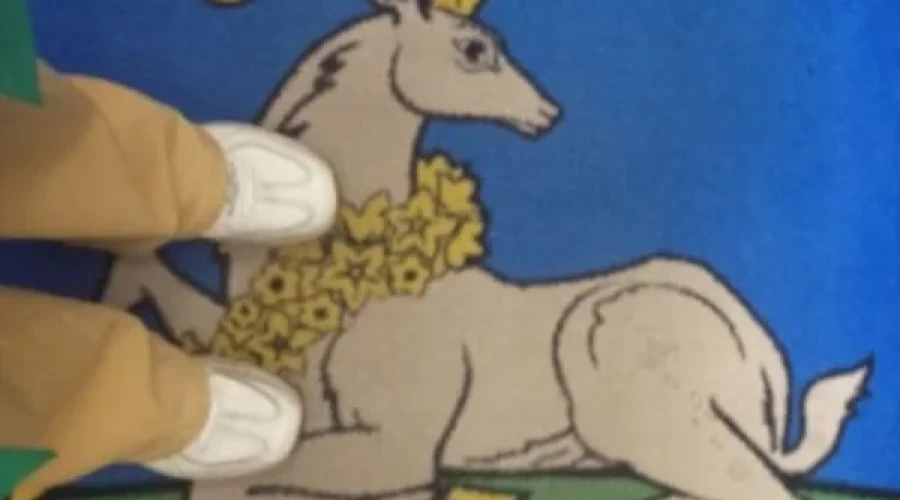 Чиновники ответили, почему стелят коврики с гербом Одинцовского округа в лифте здания администрации