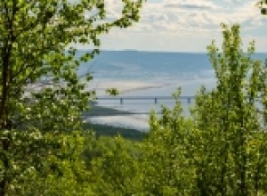 Приближается крайний срок отчета по освоению «Гектара Арктики»