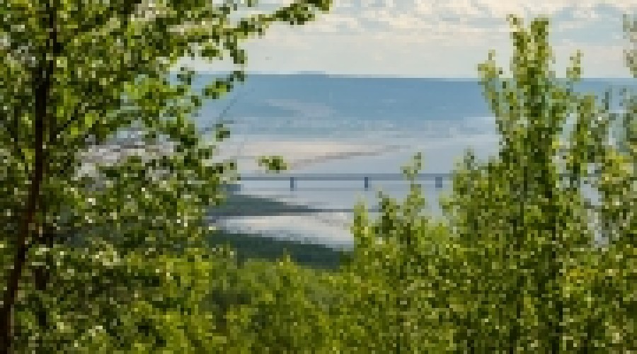 Приближается крайний срок отчета по освоению «Гектара Арктики»