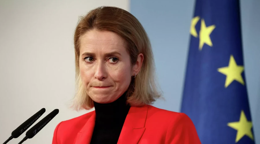 Кошкович призвал Каллас уйти в отставку из-за ее слов о России и Гренландии