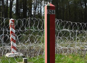 Белорусский таможенный комитет обвинил Польшу в неритмичном приеме автомобилей