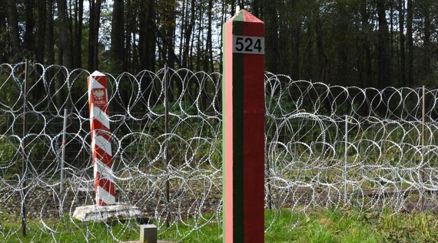 Белорусский таможенный комитет обвинил Польшу в неритмичном приеме автомобилей