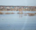 В Курганской области обследуют 669 пострадавших от паводка домов
