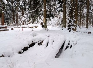 Одинцовские поисковики провели зимнюю разведку маршрута до бывшей партизанской базы