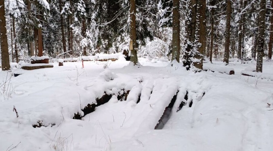 Одинцовские поисковики провели зимнюю разведку маршрута до бывшей партизанской базы