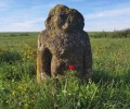 В ДНР и Запорожской области создадут государственный заповедник Степь Донецкая