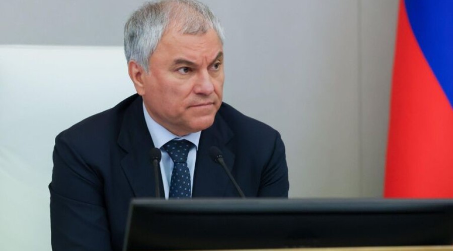 Володин: основания для лишения гражданства РФ будут расширяться и дальше