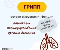 Жителей Одинцовского округа предупреждают об опасностях, связанных с гриппом