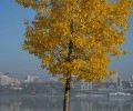 Золотая осень в России: где увидеть самые яркие краски