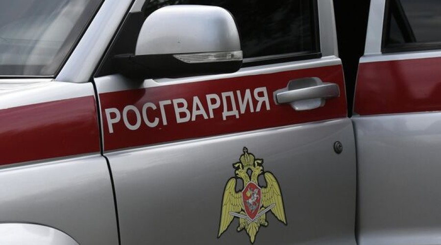 В Калининграде задержали туристов за пикник на братской могиле и кражу цветов