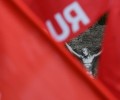 Посол Украины Боднар: в Польше проведут исторические форумы о Волынской резне