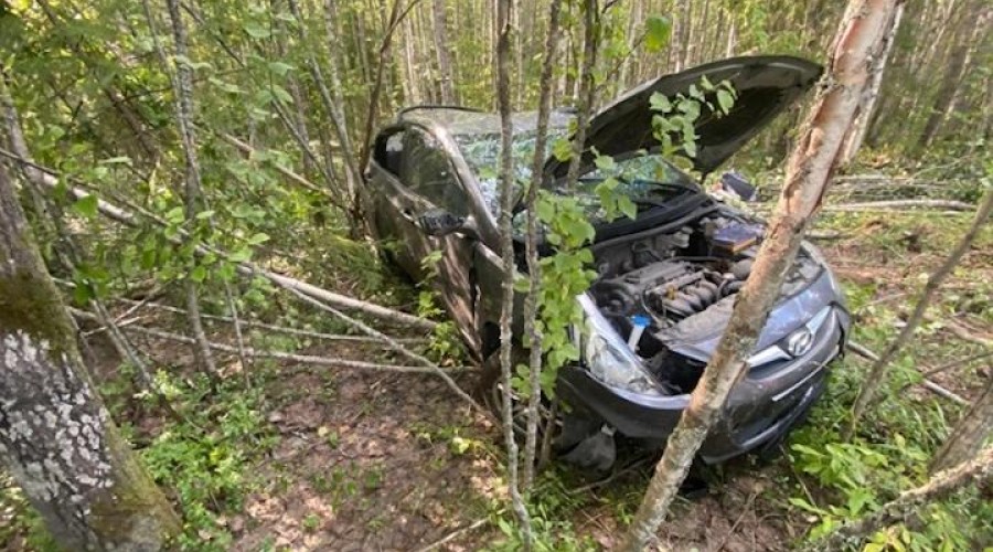 Пенсионера из Мурманска госпитализировали в результате ДТП в Карелии