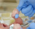 В перинатальном центре в Донецке родились более 1500 детей с апреля 2024 года 