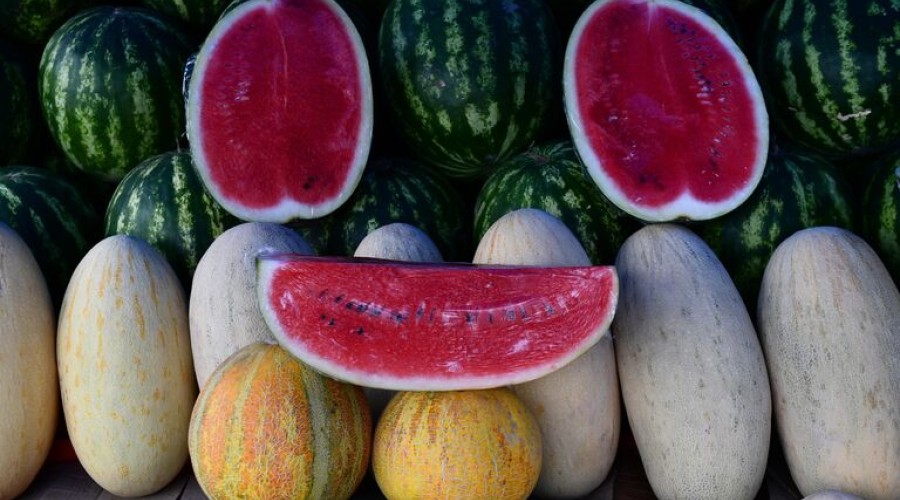 Арбуз издает звонкий звук и обладает плотной блестящей коркой