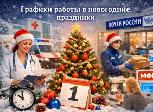 Графики работы поликлиник, МФЦ и почты в новогодние праздники-2026