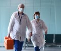 В Румынии впервые за 13 лет человек умер от бешенства после укуса собаки
