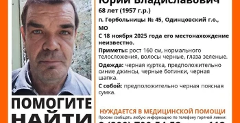 В Одинцовском округе ищут пропавшего пенсионера