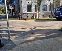 Вырубка