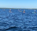 В Мончегорске определили лучших сапсерферов областного чемпионата