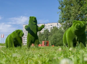 ЦУР Мурманской области: по итогам недели отработано 66% сообщений