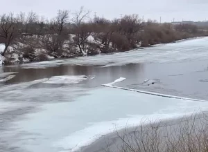 Уровень воды в реке Ишим у тюменской Ильинки поднялся на 8 см и достиг 892 см