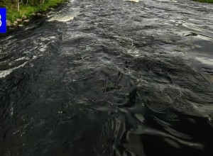 В реке Кола утонула 15-летняя девочка