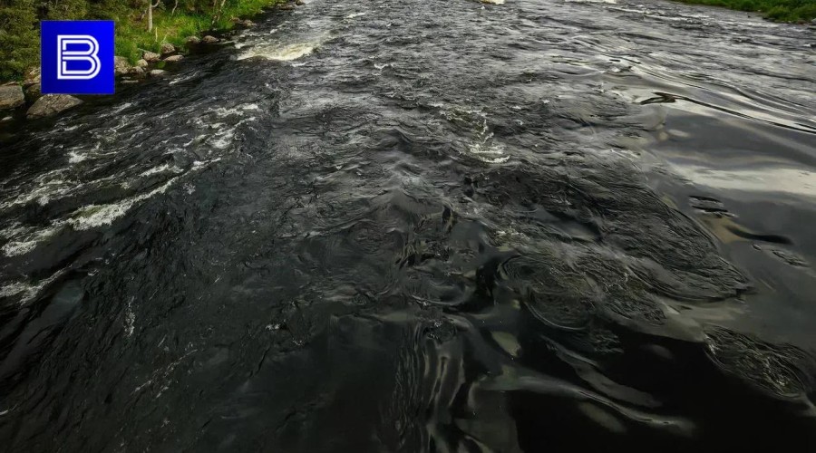 В реке Кола утонула 15-летняя девочка