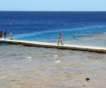 Туристам из РФ в Египте запретили купаться в море под угрозой расстрела
