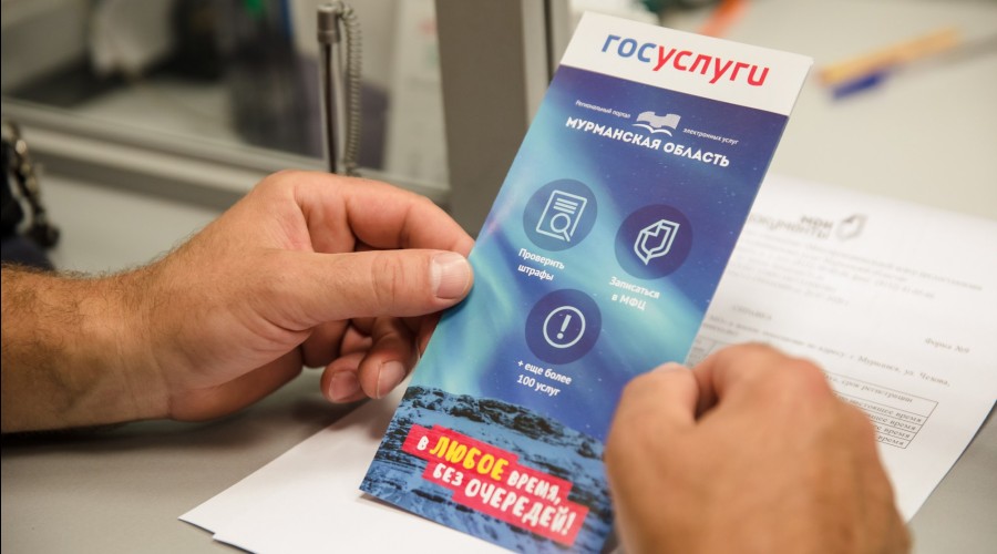 Мурманская область демонстрирует высокий уровень цифровизации массовых услуг
