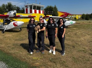 Собака-летчица вместе с командой пролетит на самолете-амфибии от Мурманска до Чукотки