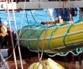 Промысловики Северного бассейна добыли почти 193 тыс. тонн рыбы с начала 2025 года