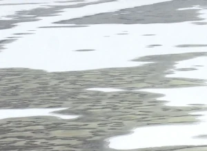 Баржа с 1000 тонн азотных удобрений врезалась в мост в Сербии и затонула в Дунае