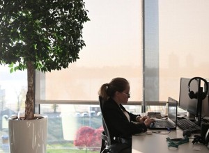 Студентка НГУ создала приложение для анализа текстов на тибетском языке